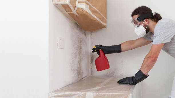 Professional Crawl Space Mold Remediation technician working in Lawrenceville, NJ