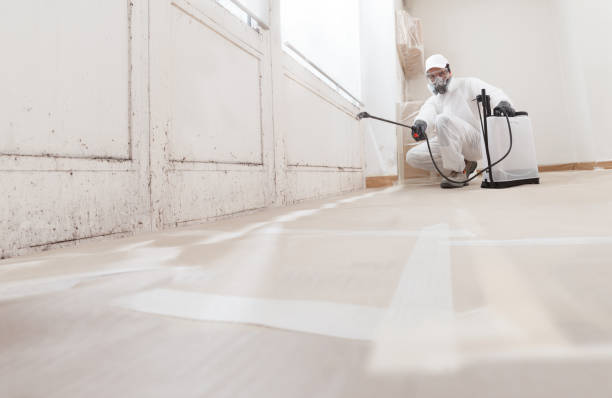 24/7 Emergency Crawl Space Mold Remediation experts in Lawrenceville, NJ